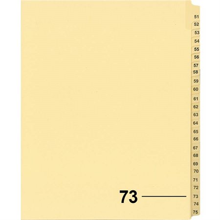 Offix® Individual Numerical Litigation Index Dividers