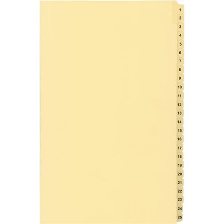 Offix® Numerical Litigation Index Dividers