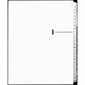 Offix® Alphabetical Litigation Index Dividers