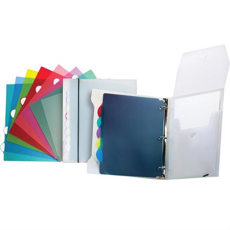 Poly Organizer Binder