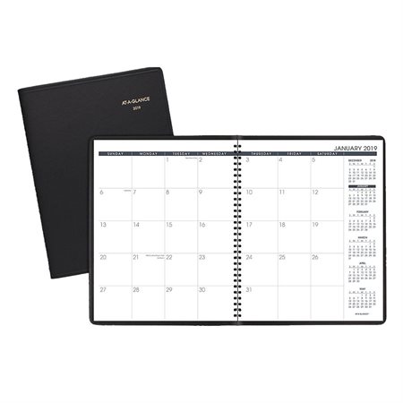 Monthly Planner (2020)