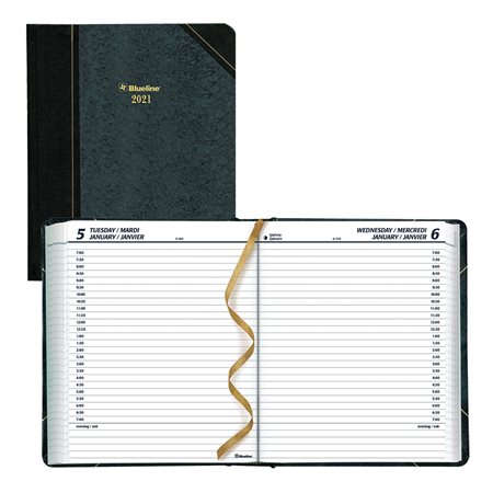 Daily Planner (2021)