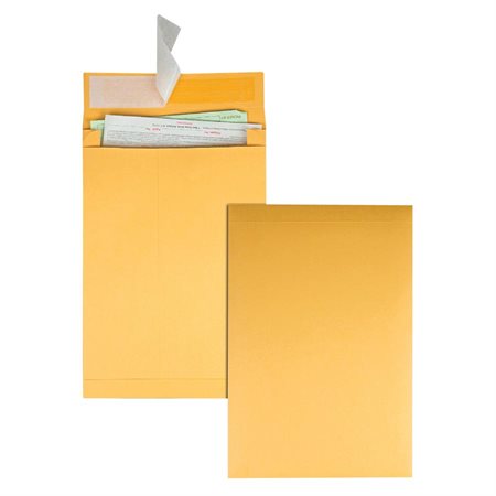 Enveloppe Kraft expansible Redi-Strip™
