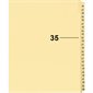 Index juridique individuel numérique Offix®