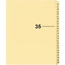 Index juridique individuel numérique Offix®
