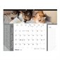 Calendrier sous-main mensuel (2020)