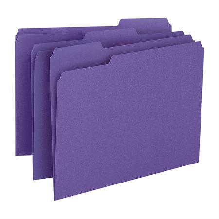 Coloured File Folders
