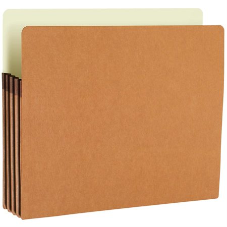 Expanding File Pocket