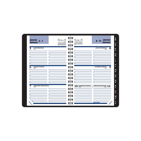 Weekly Diary (2021)