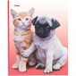 Couverture de présentation Chiens et chats