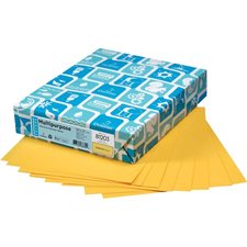 Papier de couleur à usages multiples EarthChoice®