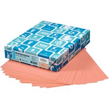 Papier de couleur à usages multiples EarthChoice®