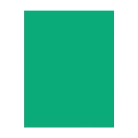 Papier de couleur EarthChoice® Hots®