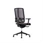 Fauteuil directeur Radience